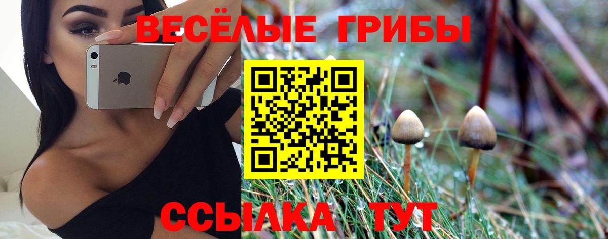 Псилоцибиновые грибы MAGIC MUSHROOMS  закладка  Вход с VPN  Шумерля  Галлюциногенные грибы Cubensis 